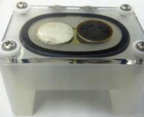 電極表面観察セル